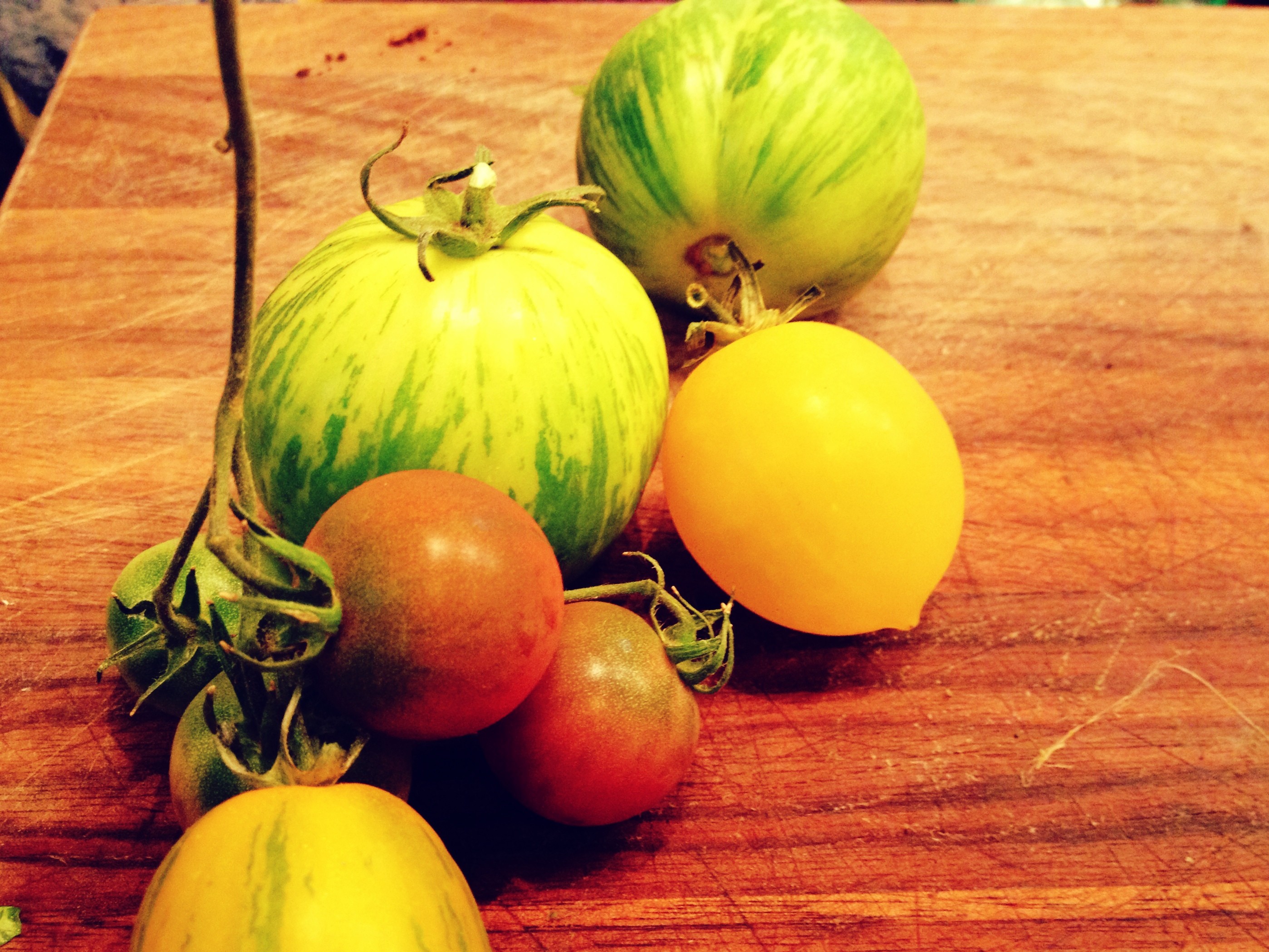 Picture Perfect Produce – picked & sorted to get the perfect shots!